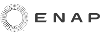 logo_enap